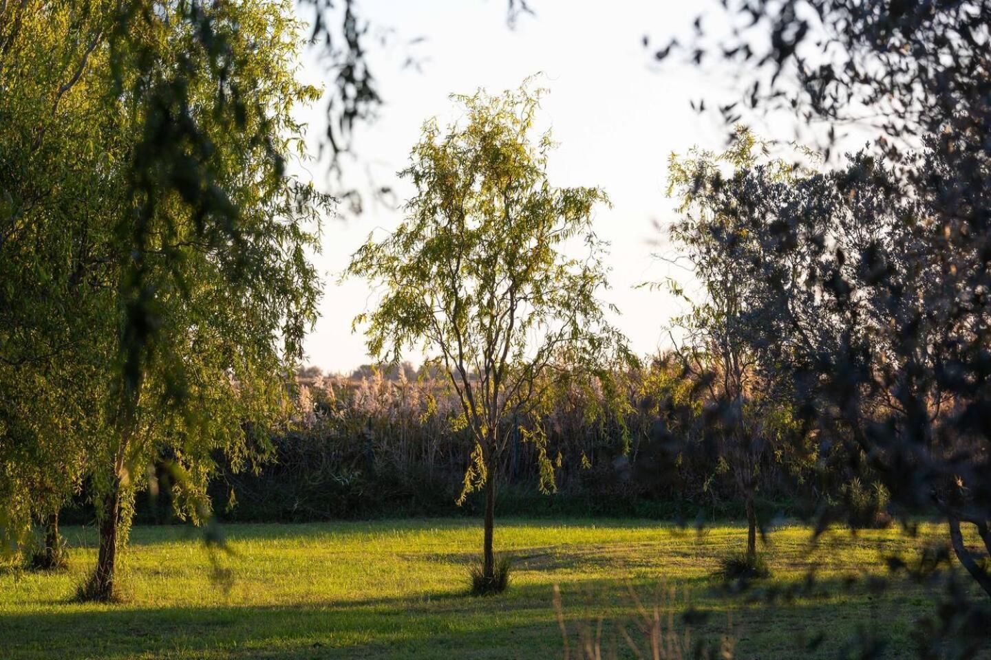 Mas Provencal De 120M2 En Camargue, Avec Piscine Et Parking Inclus, Ideal Pour Des Vacances Arles Eksteriør billede