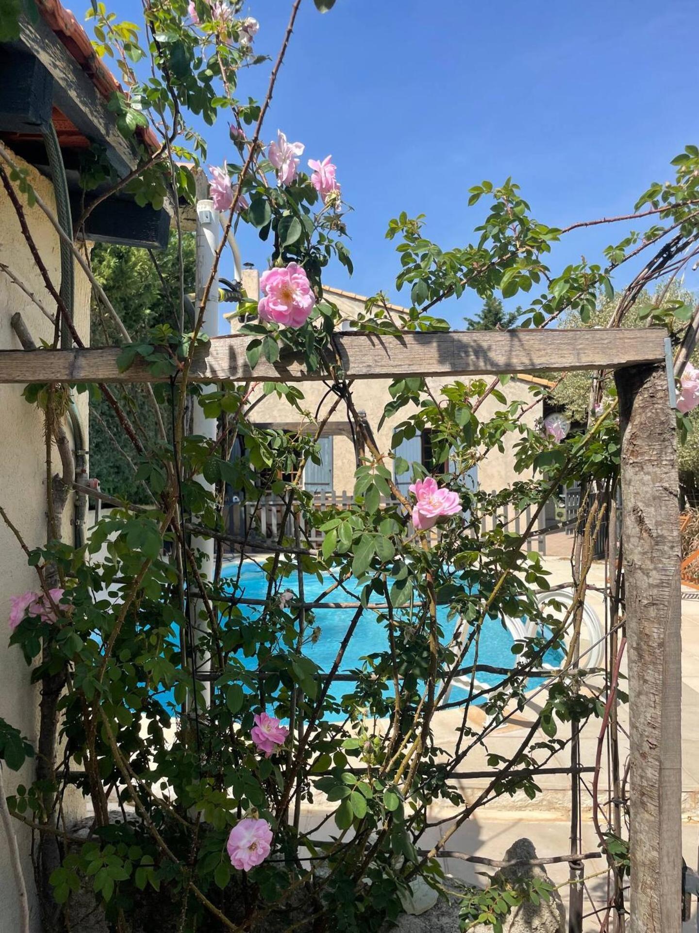 Mas Provencal De 120M2 En Camargue, Avec Piscine Et Parking Inclus, Ideal Pour Des Vacances Arles Eksteriør billede